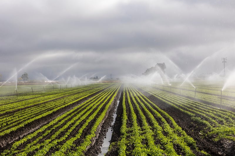 DIY Irrigation